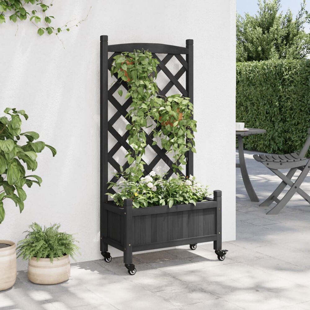Zeer decoratieve maar toch strakke plantenbak met latwerk voor klimplanten - verrijdbaar met wielen