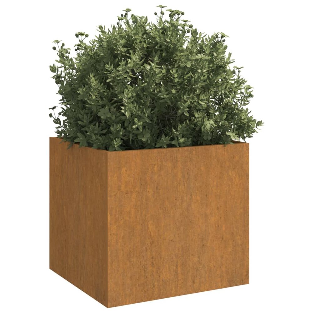 Plantenbak Roodbaard 49x47x46 cm cortenstaal