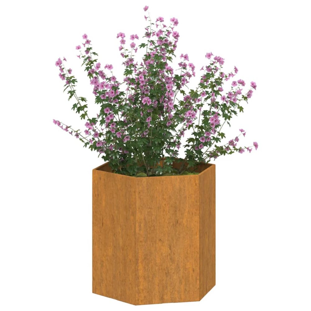Plantenbak 6-hoekig roestig 40x40x45 cm cortenstaal
