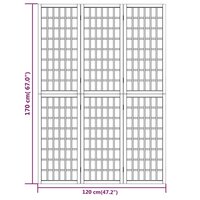 Kamerscherm Inklapbaar 3 Panelen Japanse Stijl 120 x 170 cm Naturel