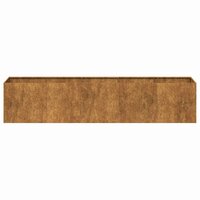 Plantenbak roestig 200x40x40 cm weervast staal