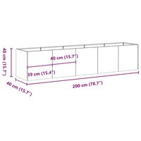 Plantenbak roestig 200x40x40 cm weervast staal