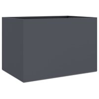 Plantenbak 62x40x39 cm staal antracietkleurig