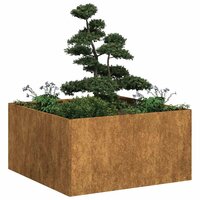 Plantenbak Roestig Weervast Staal Weathering Steel 80 x 80 x 40 cm