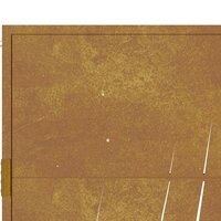 Tuinpoort - tuindeur bruin design gras 100x200 cm cortenstaal