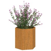 Plantenbak 6-hoekig roestig 40x40x45 cm cortenstaal