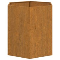 Plantenbak 6-hoekig roestig 40x40x45 cm cortenstaal