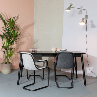 Meubelen-Online - Eetkamerstoel Thirsty set 2 grijs gerecycled