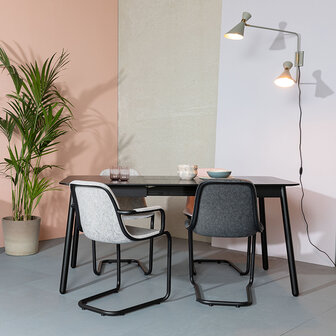 Meubelen-Online - Eetkamerstoel Thirsty set 2 grijs gerecycled