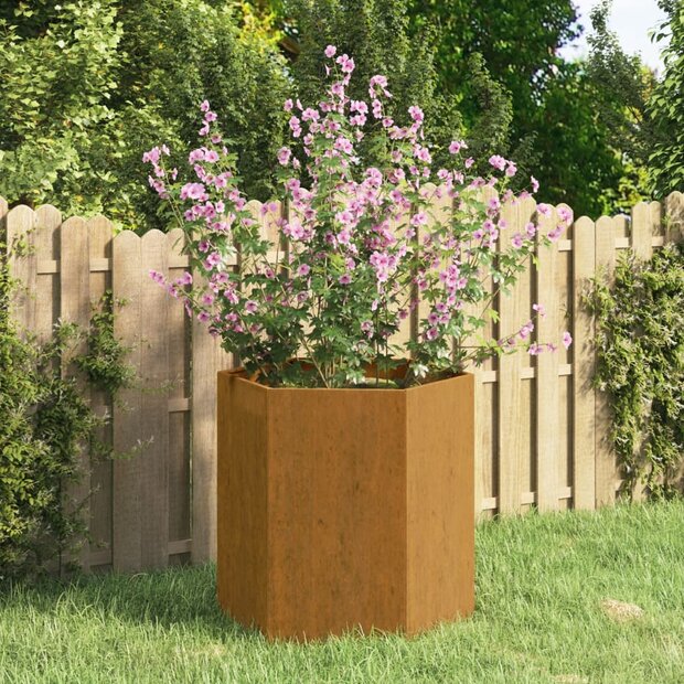 Plantenbak 6-hoekig roestig 40x40x45 cm cortenstaal