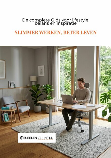 Slimmer Werken, Beter Leven omslag Gids met inspiratie en Lifestyle